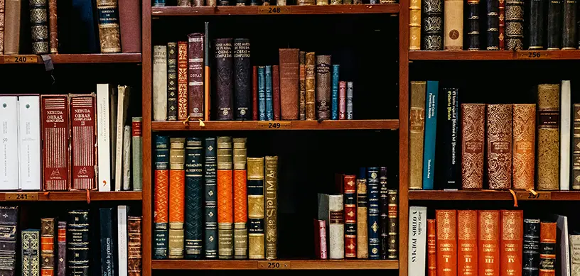 10 Reasons to Study in USA