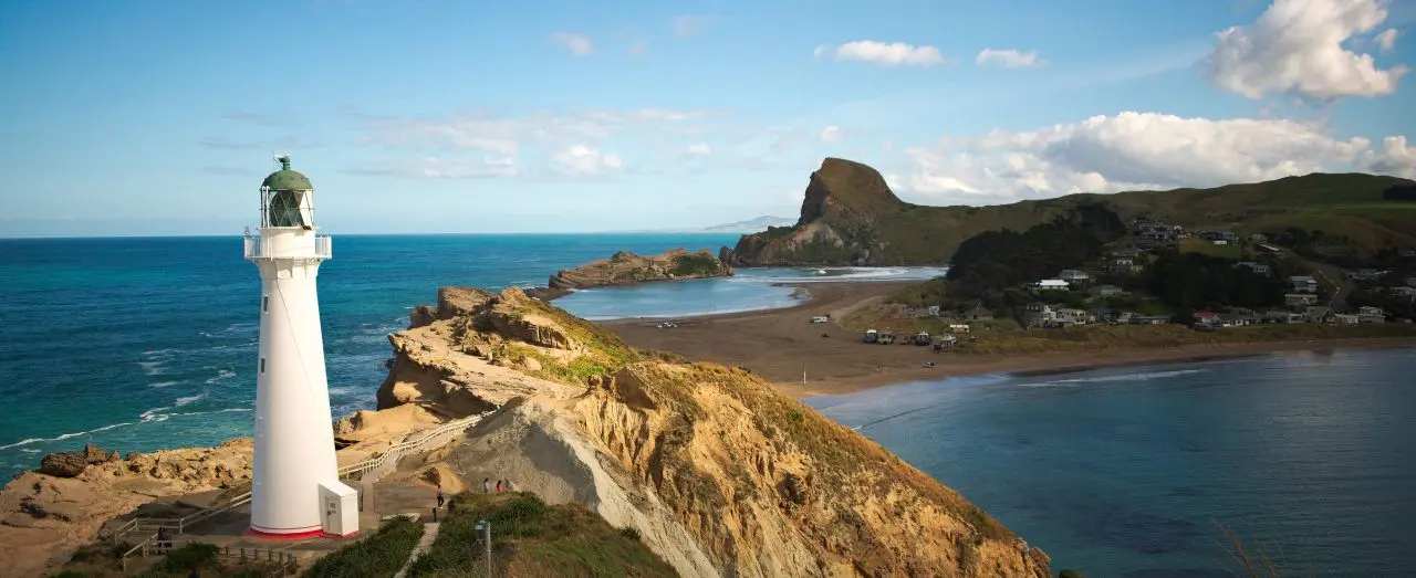 5 Best Courses to Study in New Zealand