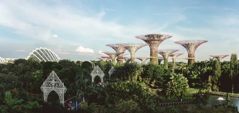 Colleges and Universities in Singapore for Indian students