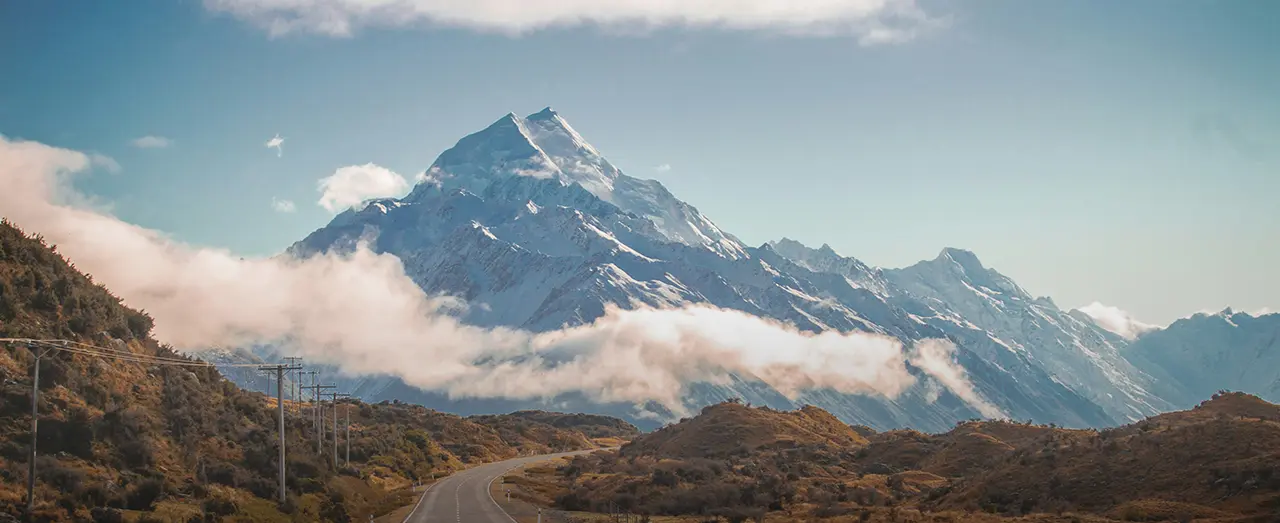 Top 10 popular courses to study in New Zealand