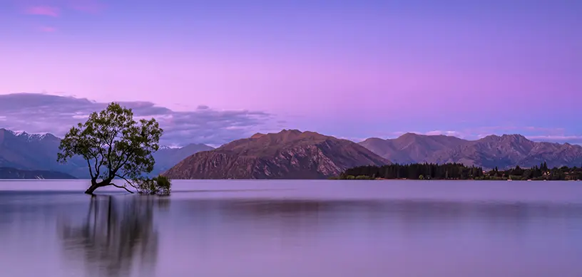 Top 10 popular courses to study in New Zealand