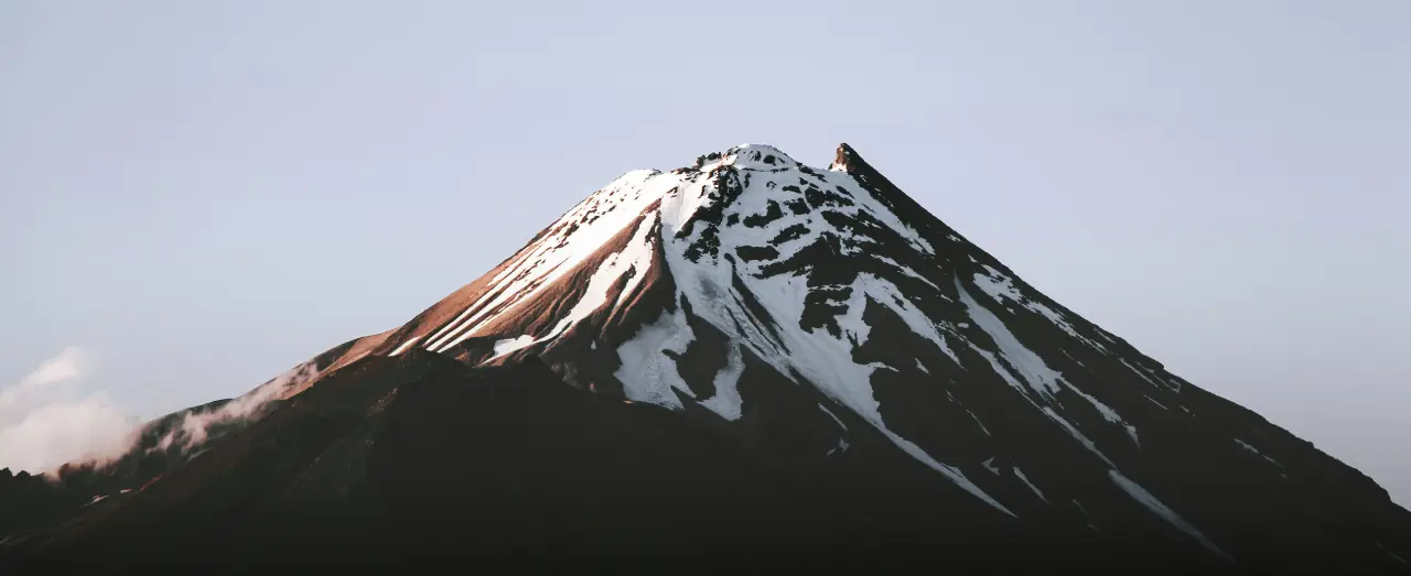 Top 4 Masters Courses in New Zealand