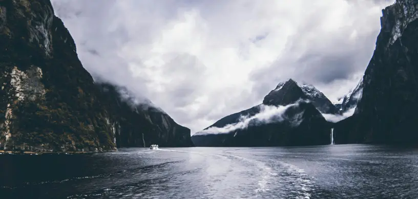 Top 4 Masters Courses in New Zealand