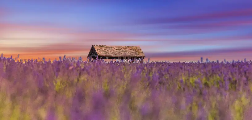 UK Education: Top 7 Most Popular Courses to Study in UK Universities